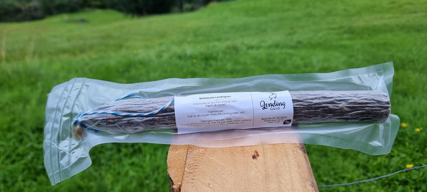 Spikjepylse Lendingsau